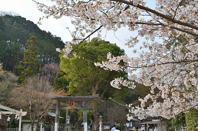 f:id:shakuhachi_tone:20210328210317j:plain