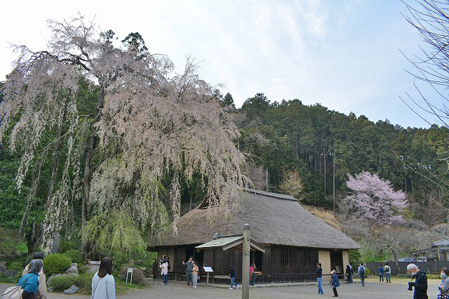 f:id:shakuhachi_tone:20210328210412j:plain