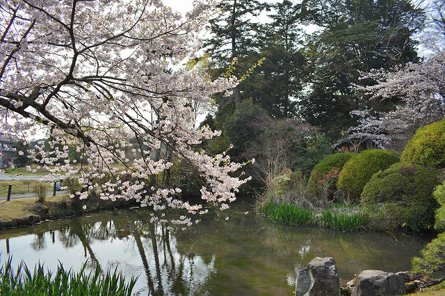 f:id:shakuhachi_tone:20210328210431j:plain