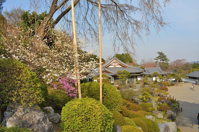 f:id:shakuhachi_tone:20210328210526j:plain