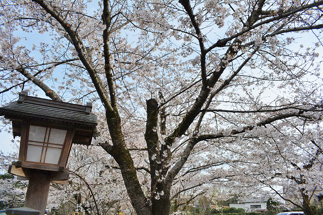 f:id:shakuhachi_tone:20210328210651j:plain