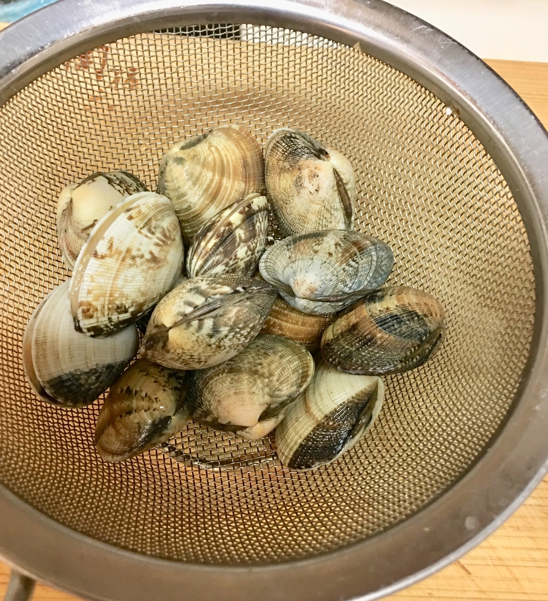 f:id:shalala_claudia:20190413230716j:plain f:id:shalala_claudia:20190413230716j:plain