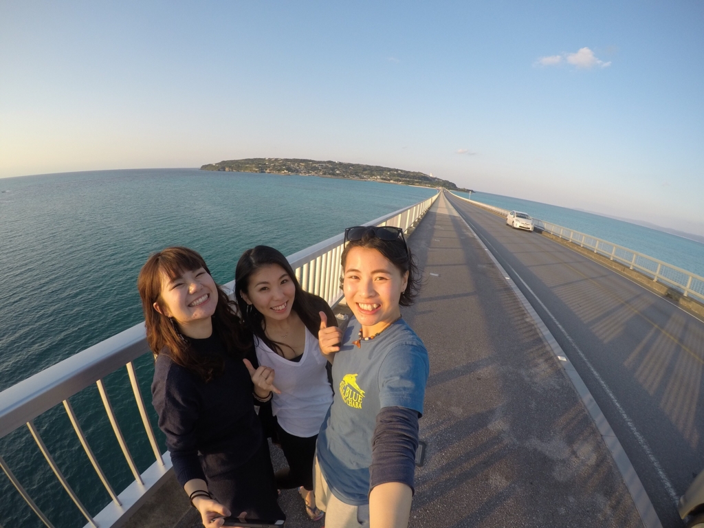 f:id:shallowocean:20170221002609j:plain f:id:shallowocean:20170221002609j:plain