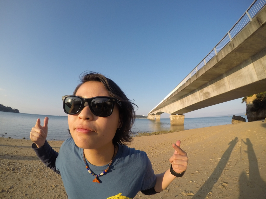 f:id:shallowocean:20170221005100j:plain f:id:shallowocean:20170221005100j:plain