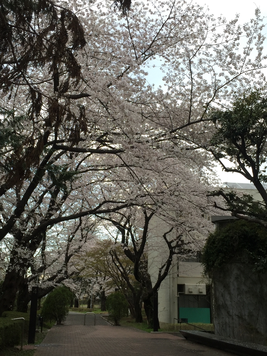 f:id:shallrun:20190402005933j:plain f:id:shallrun:20190402005933j:plain