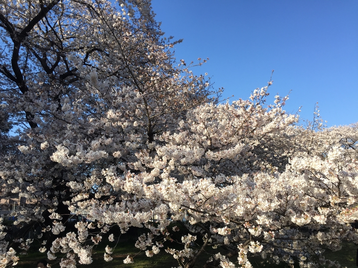 f:id:shallrun:20190405021721j:plain f:id:shallrun:20190405021721j:plain