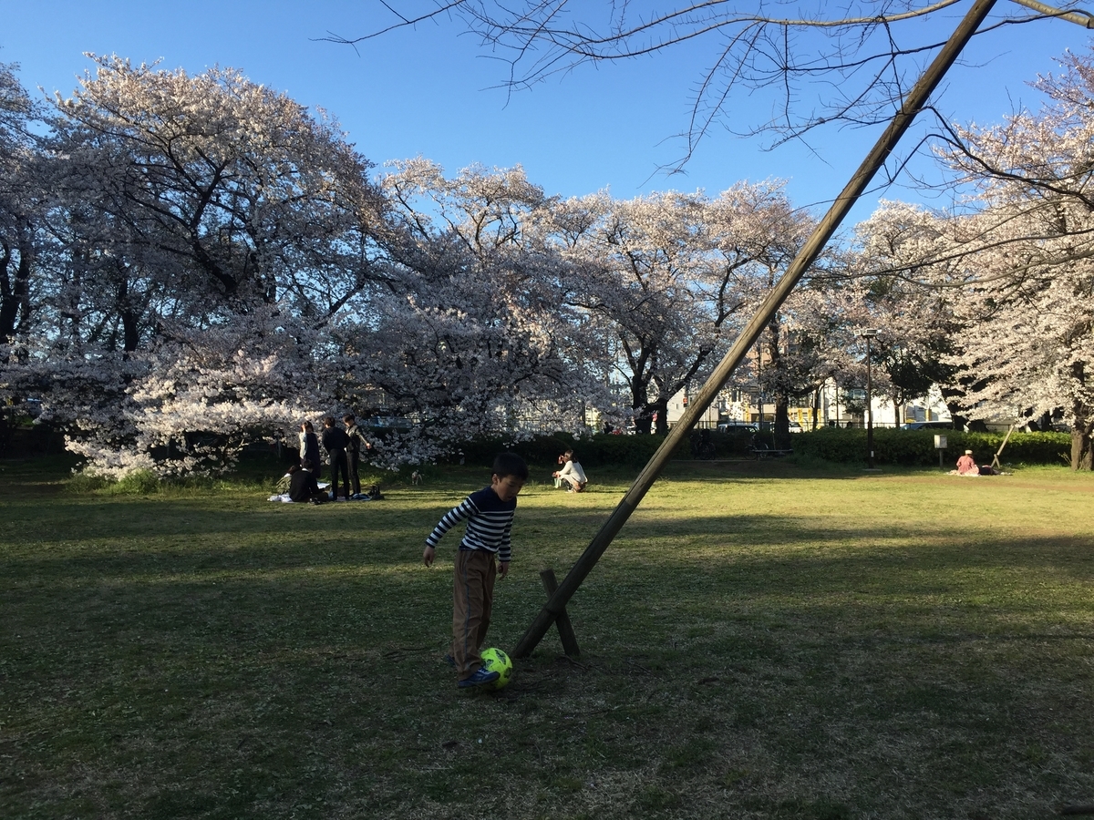 f:id:shallrun:20190405022009j:plain f:id:shallrun:20190405022009j:plain