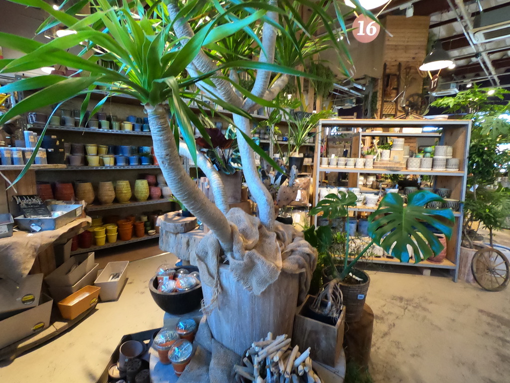The Farm Universal 千葉の大型園芸店 久しぶりの植物めぐりで癒しの休日 駆け抜けて墓場まで