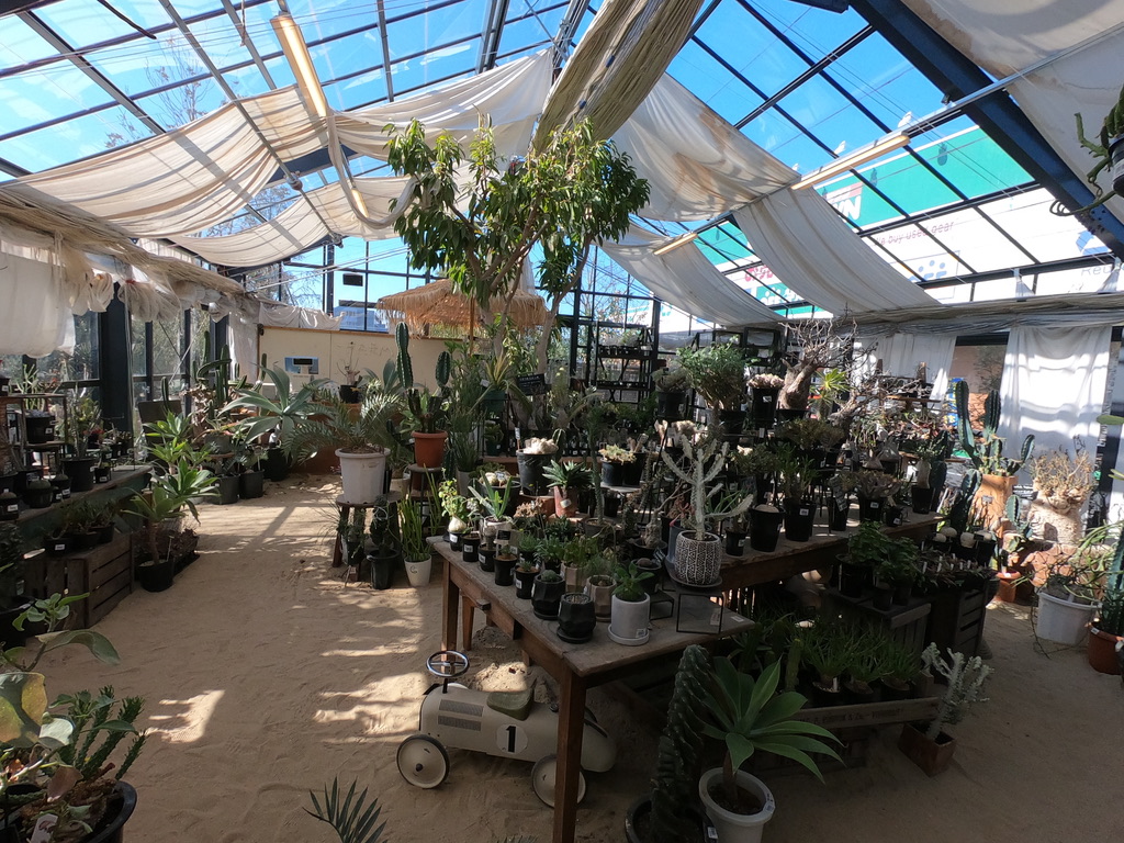The Farm Universal 千葉の大型園芸店 久しぶりの植物めぐりで癒しの休日 駆け抜けて墓場まで
