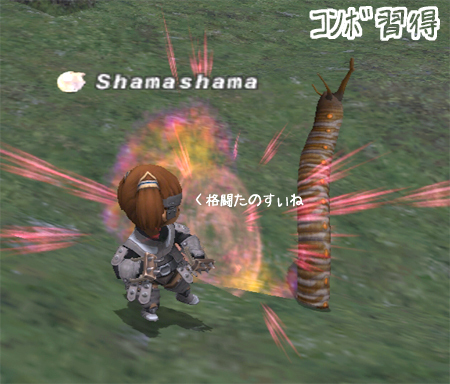 f:id:shamashama:20080103131055j:image f:id:shamashama:20080103131055j:image