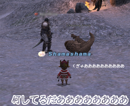 f:id:shamashama:20080107141130j:image f:id:shamashama:20080107141130j:image