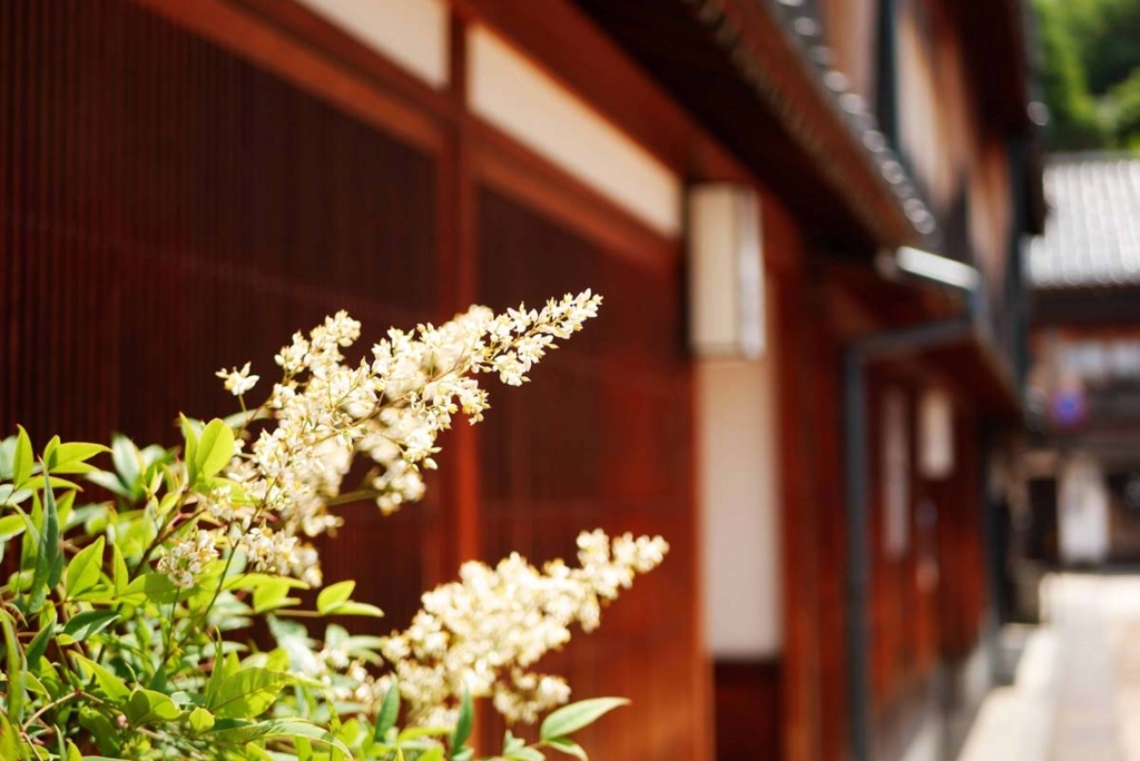 f:id:shamo-ji:20180620171724j:plain