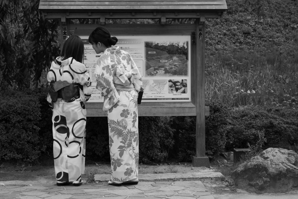 f:id:shamo-ji:20180620174219j:plain