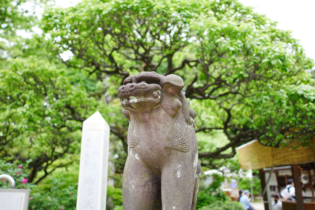 f:id:shamo-ji:20190429223558j:plain f:id:shamo-ji:20190429223558j:plain