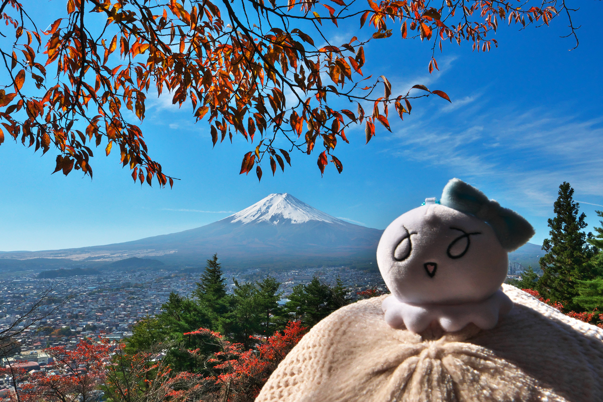 f:id:shamo-ji:20211113112123j:plain