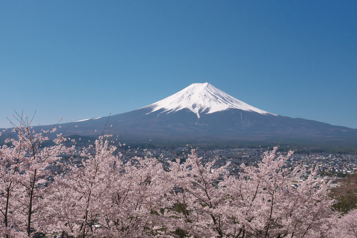 f:id:shamo-ji:20220414062432j:plain