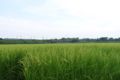 20170801064453
