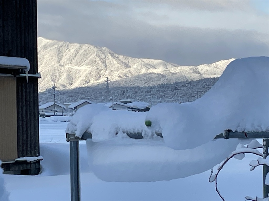 f:id:shamo29:20211228050521j:image