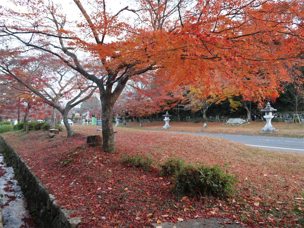 f:id:shamo29:20251204053329j:image