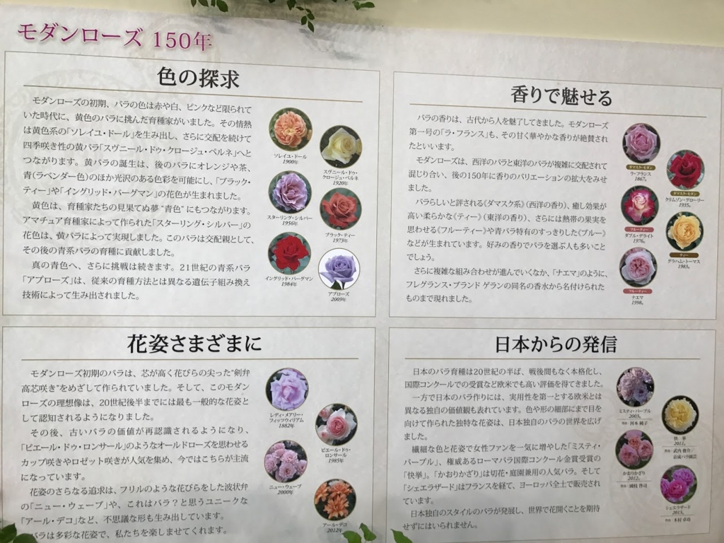 f:id:shamudiego:20170514170922j:plain