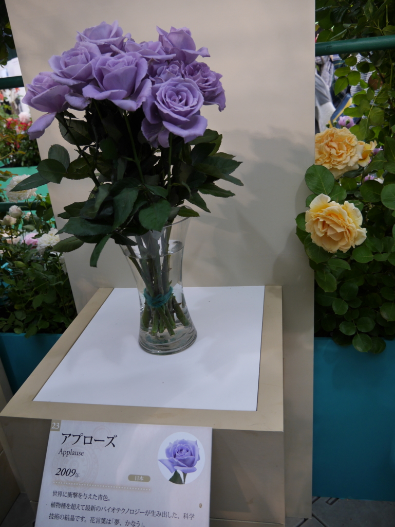 f:id:shamudiego:20170514173000j:plain