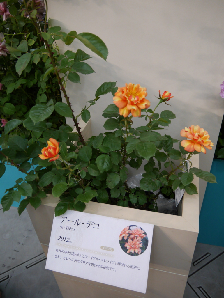 f:id:shamudiego:20170514173615j:plain