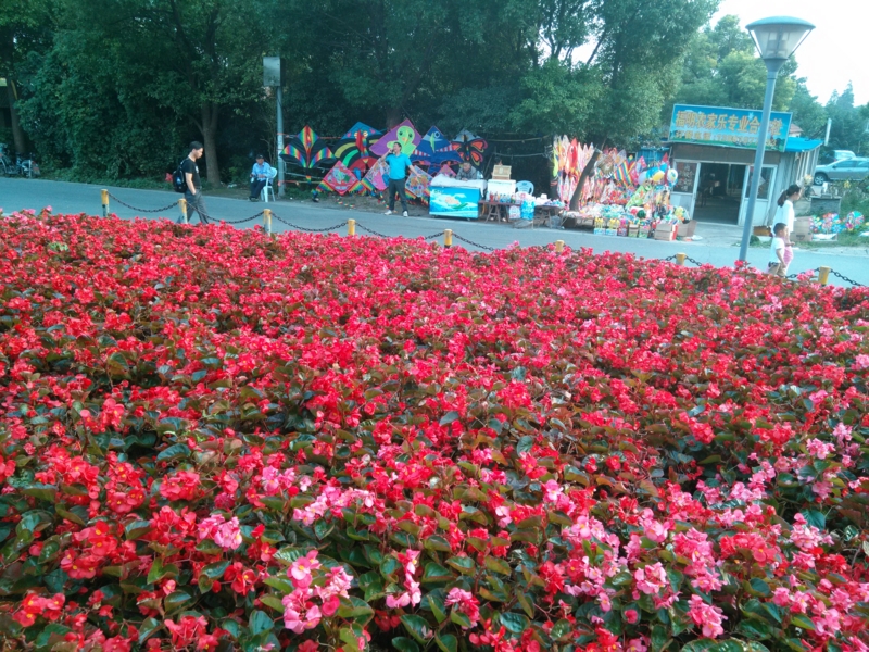 f:id:shan1tian2:20141002160338j:image f:id:shan1tian2:20141002160338j:image