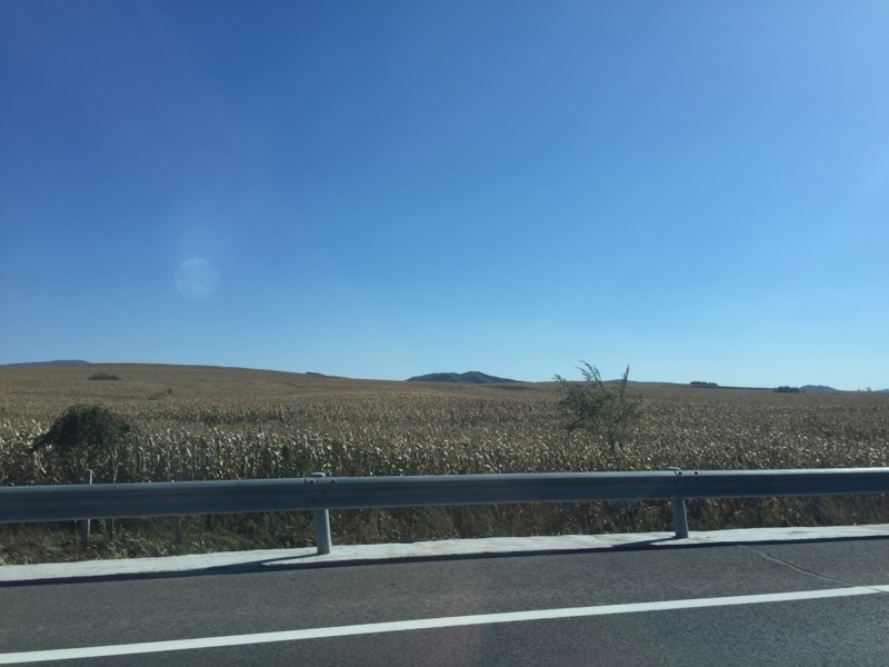 f:id:shan1tian2:20151003134422j:image f:id:shan1tian2:20151003134422j:image