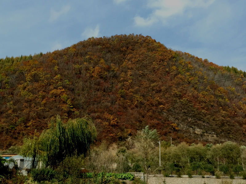 f:id:shan1tian2:20151005104055j:image