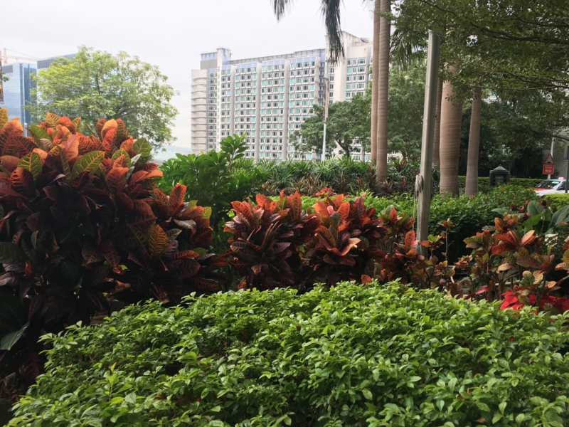 f:id:shan1tian2:20151220092526j:image f:id:shan1tian2:20151220092526j:image