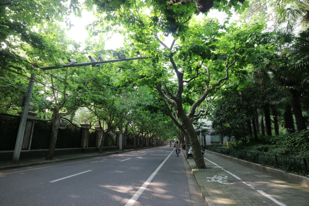 f:id:shan1tian2:20160610162511j:plain