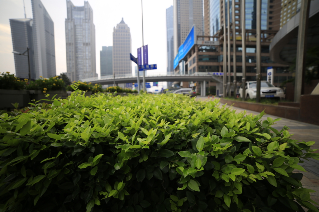 f:id:shan1tian2:20160716171744j:plain