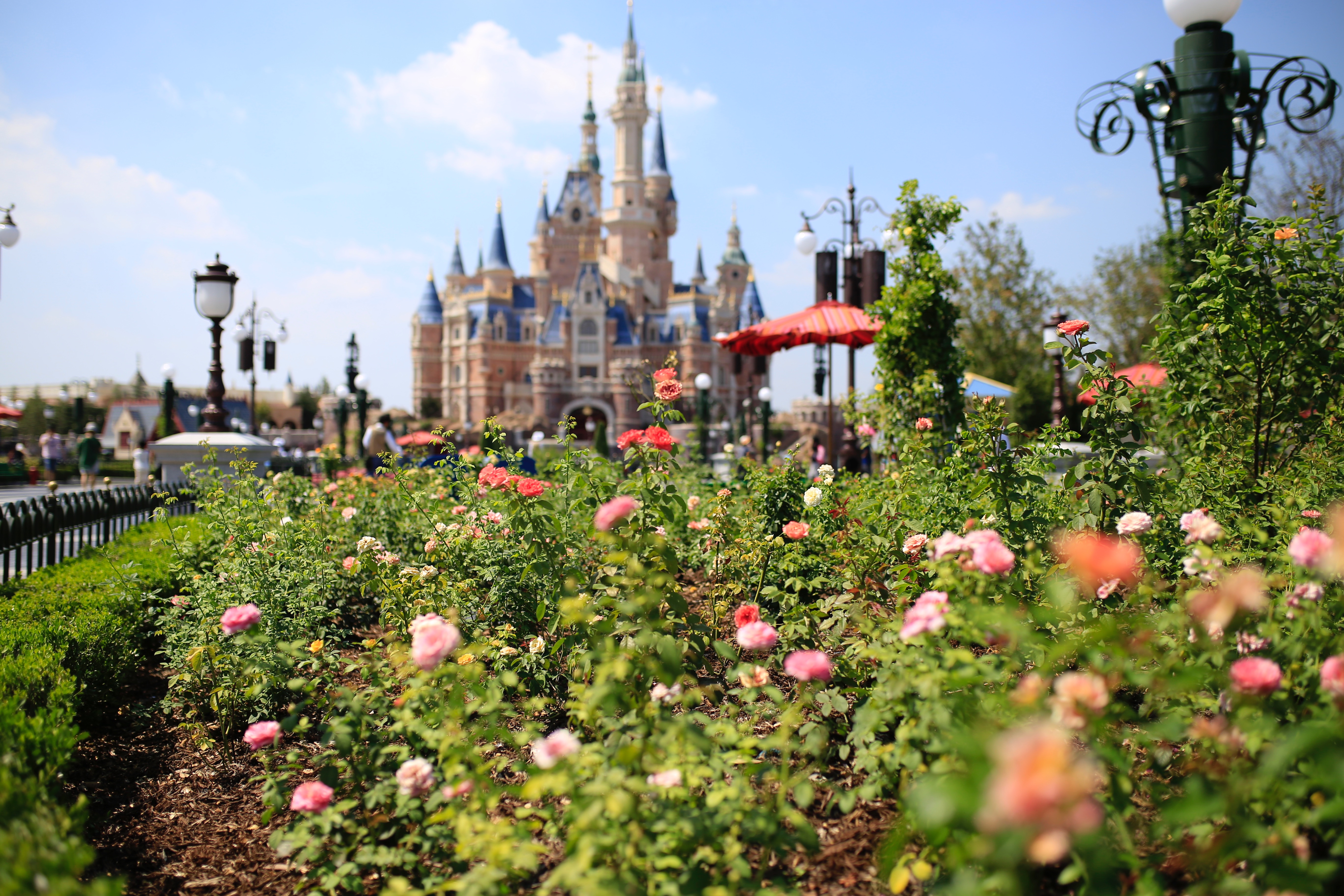 上海ディズニー