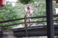 チャイナドレスの美女