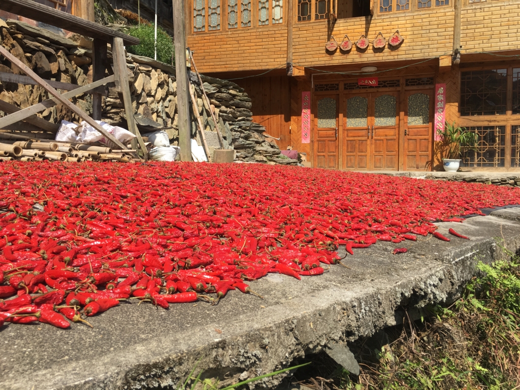 とうがらし とうがらし