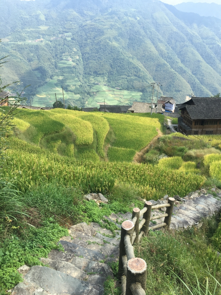 f:id:shan1tian2:20160917144117j:plain f:id:shan1tian2:20160917144117j:plain