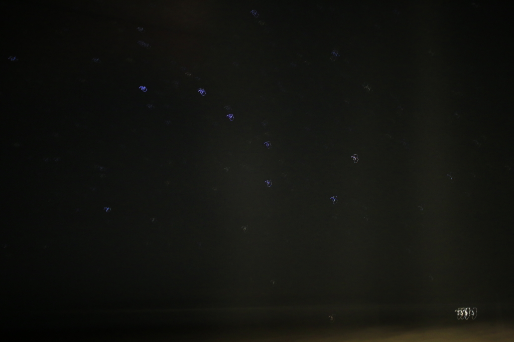 バスからの星撮影