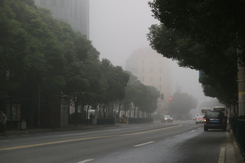 上海雾霾 2016-11月