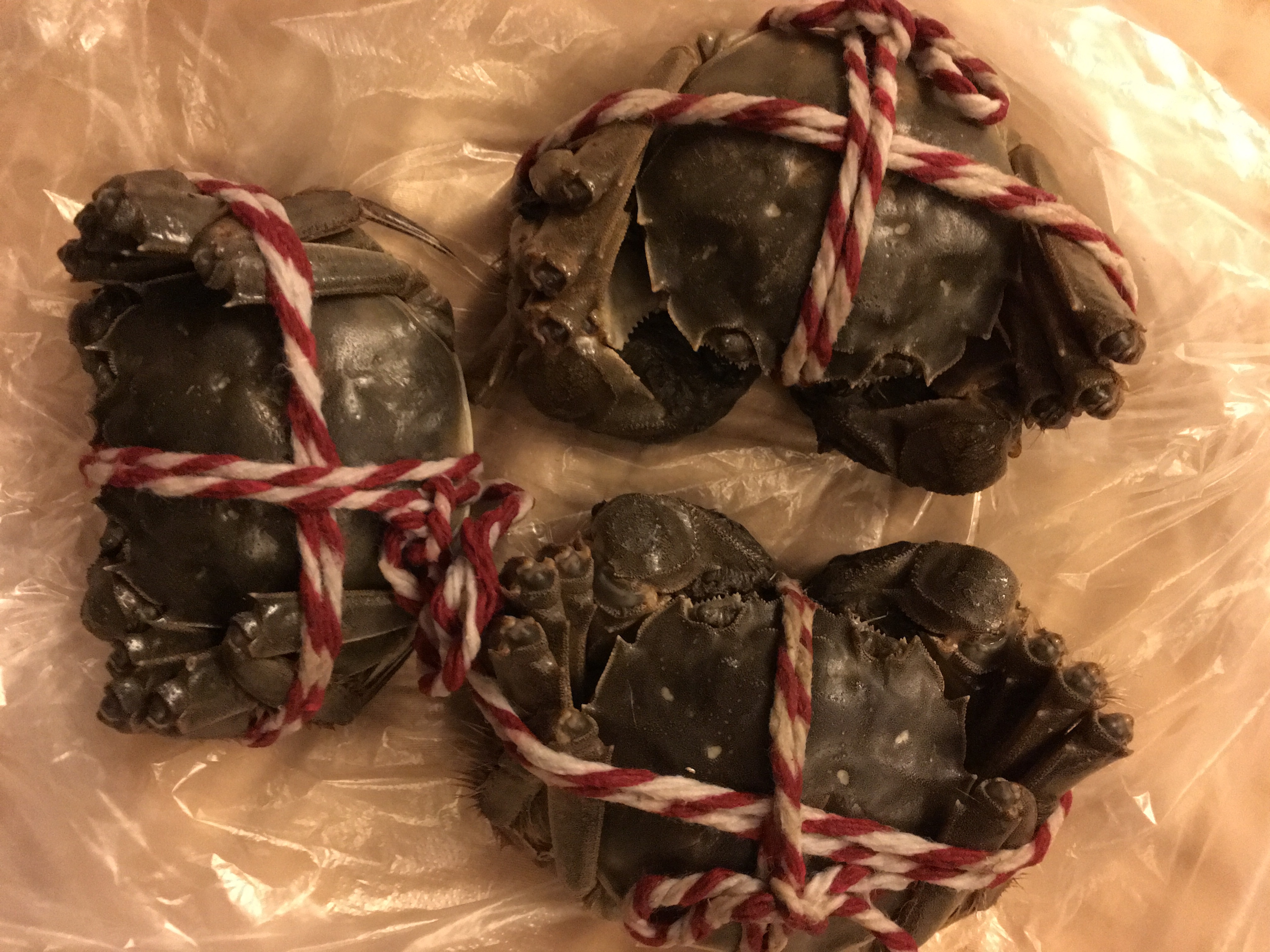 f:id:shan1tian2:20161119131759j:image