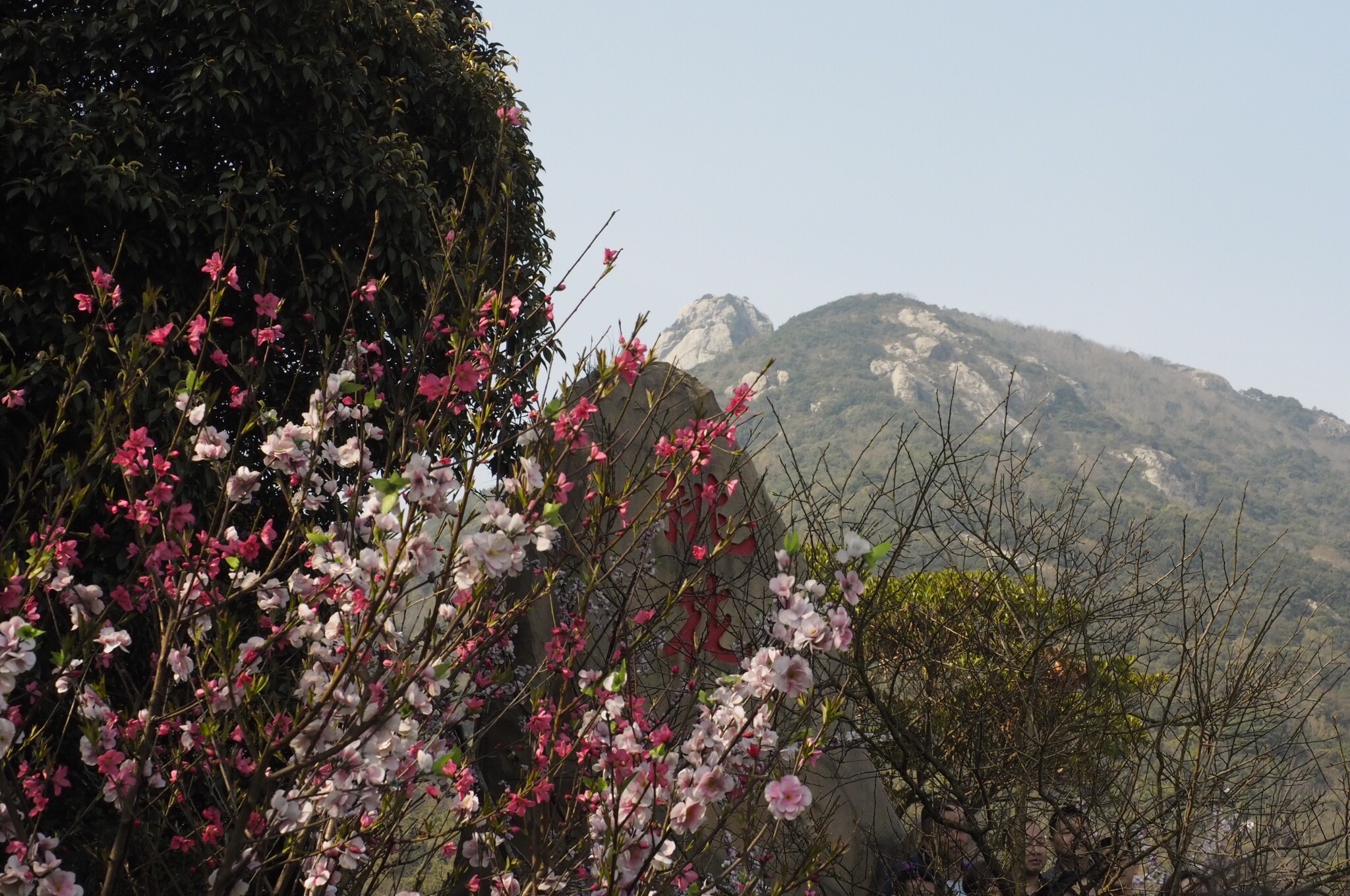 f:id:shan1tian2:20170405163950j:image