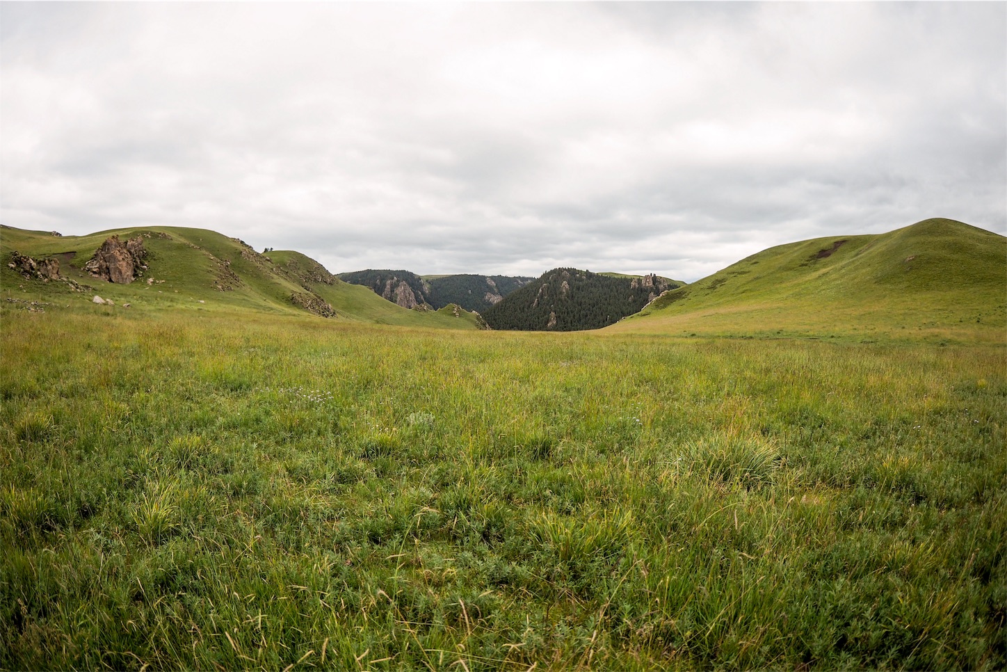 f:id:shan1tian2:20170829214321j:image f:id:shan1tian2:20170829214321j:image