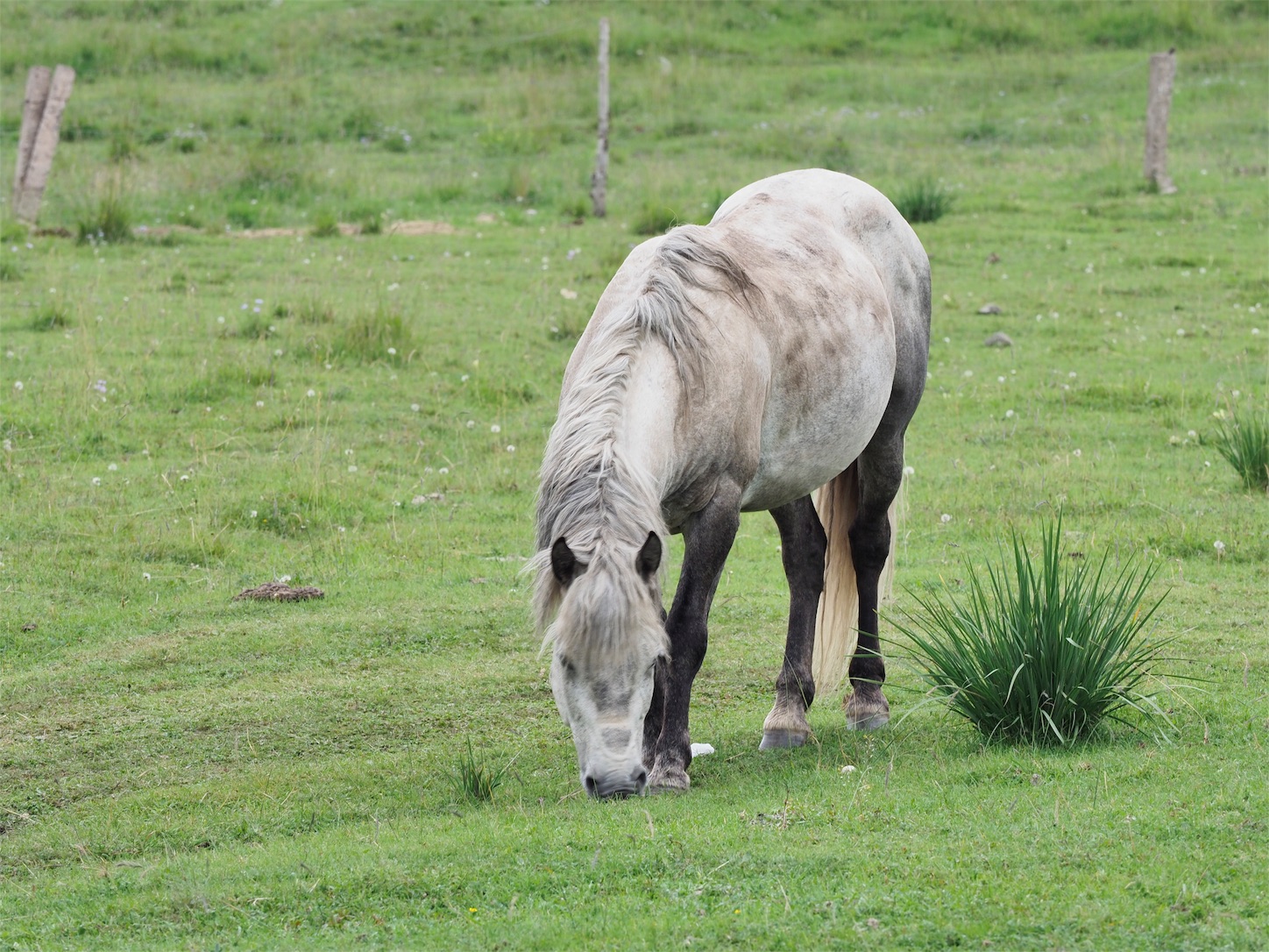 f:id:shan1tian2:20170829222711j:image f:id:shan1tian2:20170829222711j:image