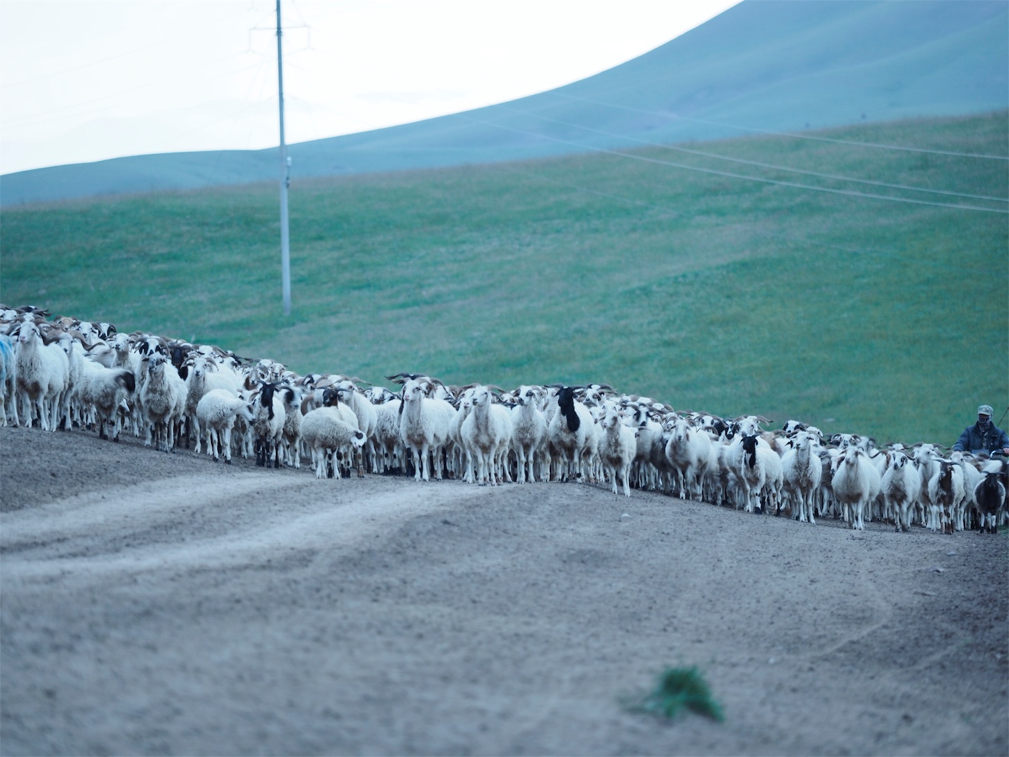 f:id:shan1tian2:20170829222742j:image f:id:shan1tian2:20170829222742j:image