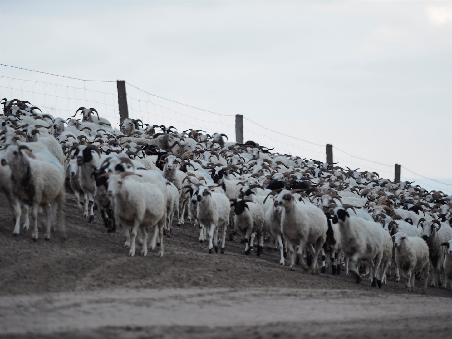 f:id:shan1tian2:20170829222954j:image f:id:shan1tian2:20170829222954j:image