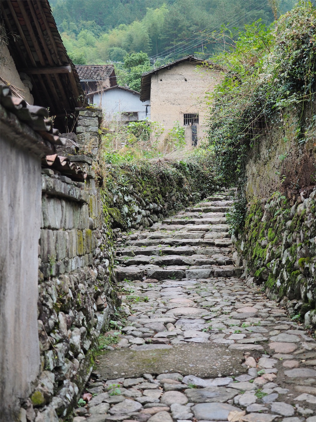 独山村（階段）