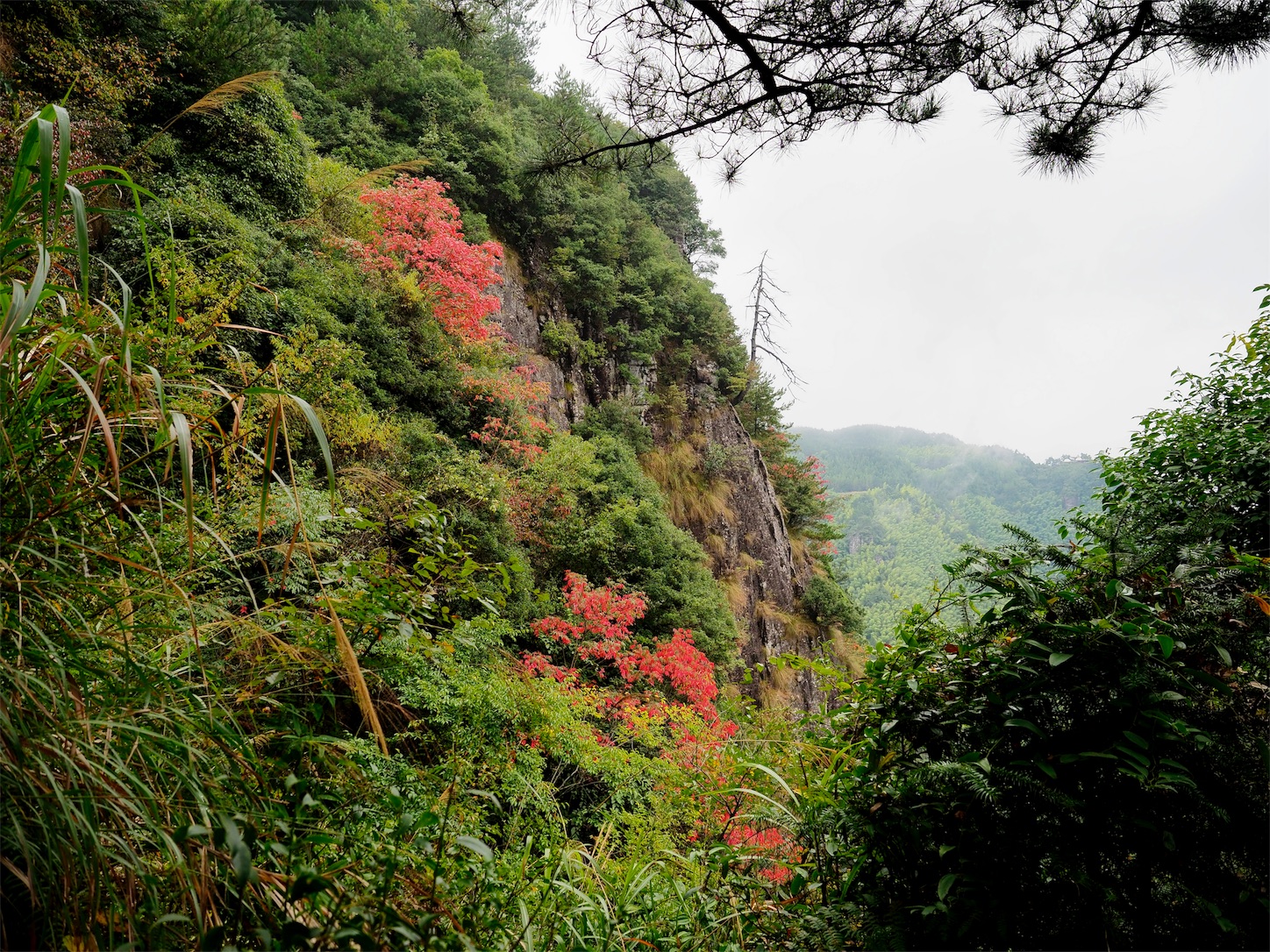 南尖岩・少し紅葉