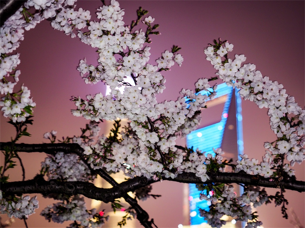 f:id:shan1tian2:20180324145131j:image