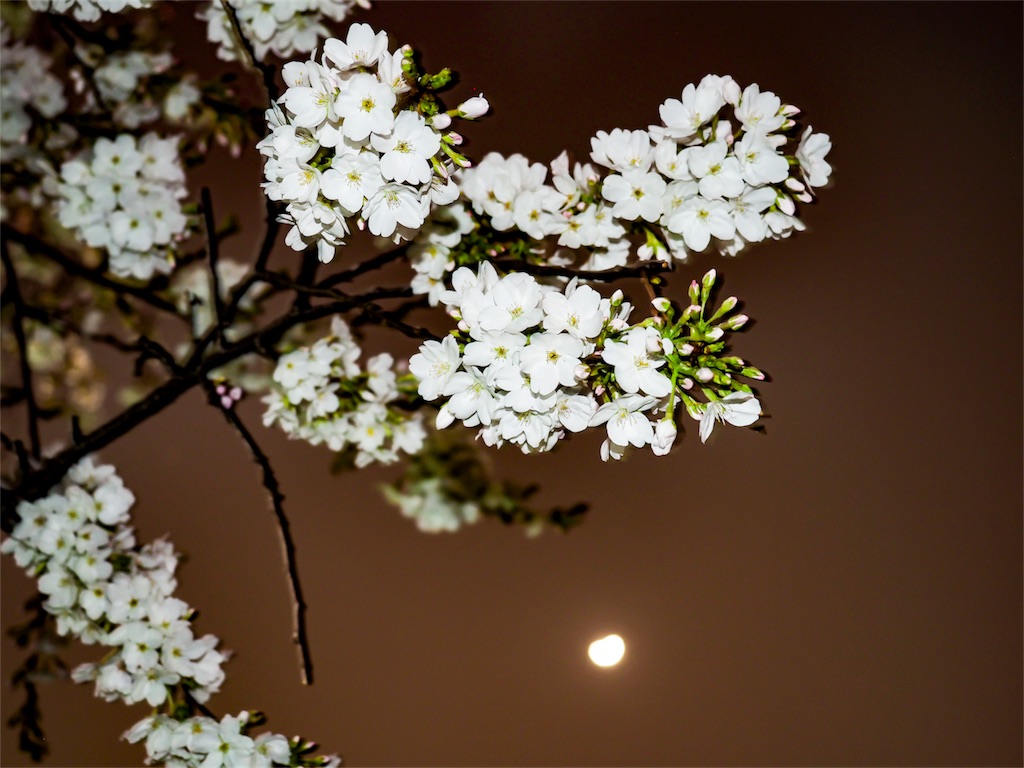 f:id:shan1tian2:20180324145135j:image