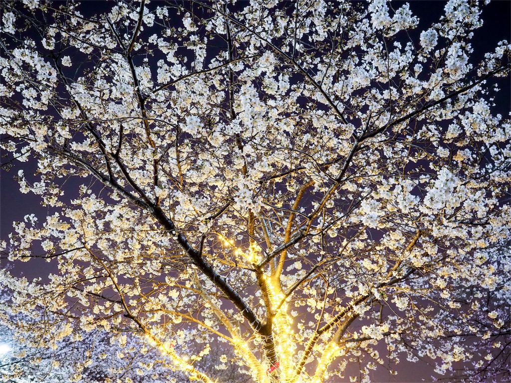 f:id:shan1tian2:20180324145301j:image