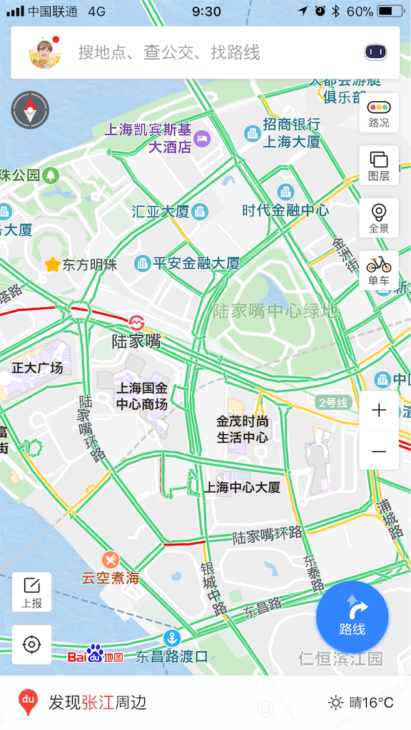 上海桜